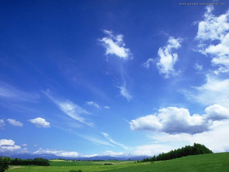 Green Field under Blue Sky — Serene