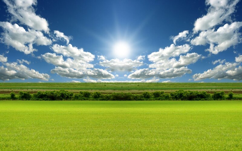 Green Field under Blue Sky — Sun, Trees