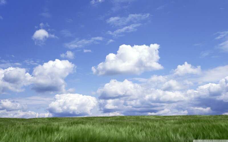 Green Field under Clouds — Blue, Serene