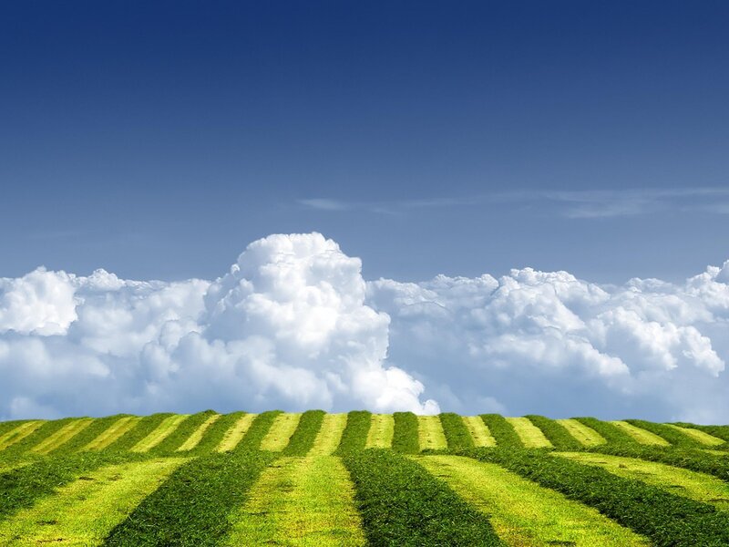 Green Field under Clouds — Serene, Afternoon, Photograph, Sky, Blue, White