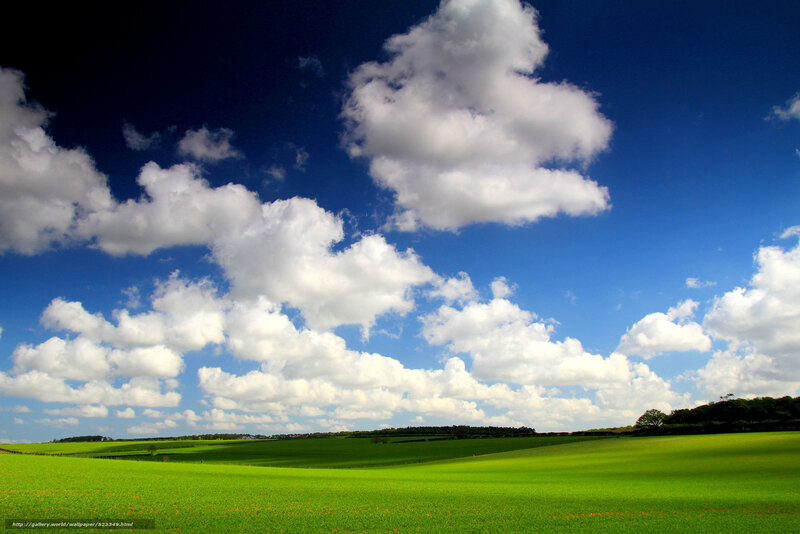 Green Field under Clouds — Serene