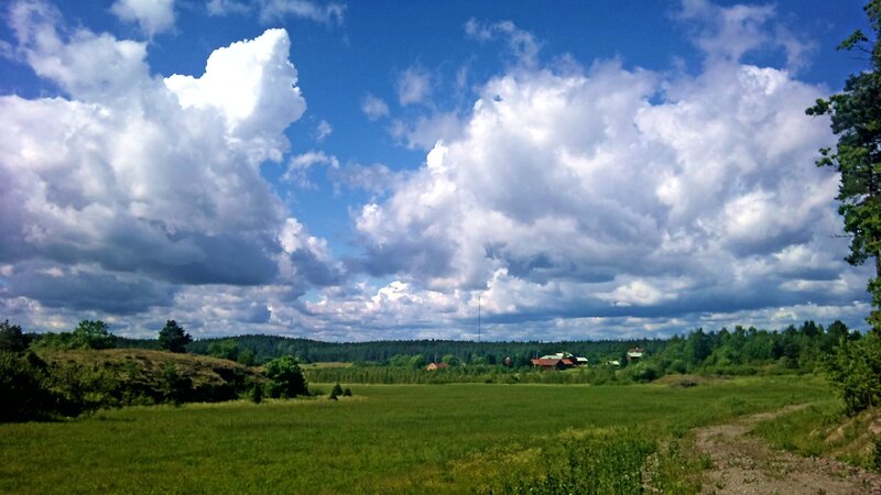 Green field under cloudy sky