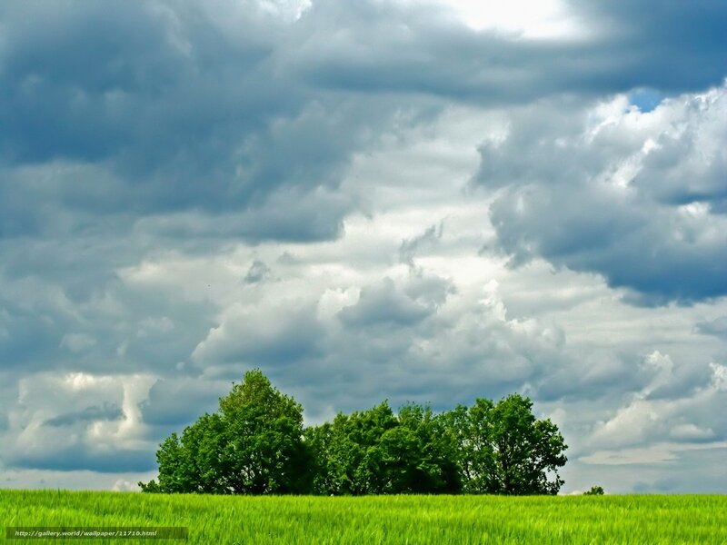 Green field under cloudy sky