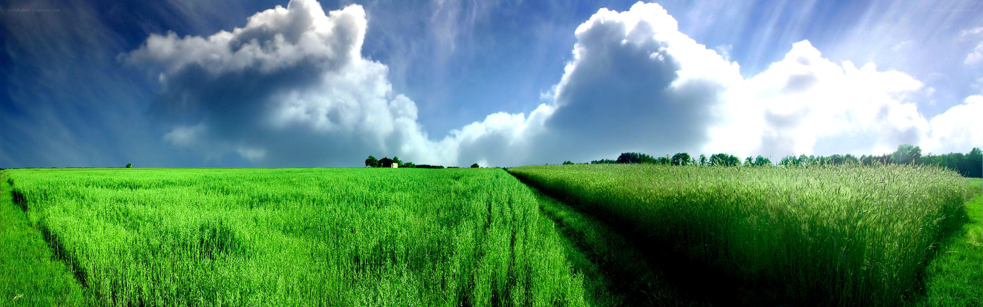 Green field under cloudy sky