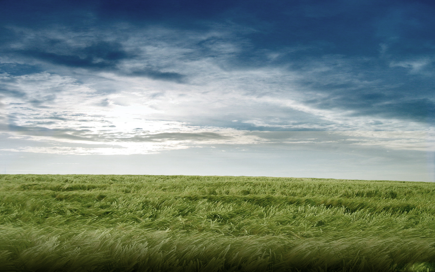 Green field under cloudy sky