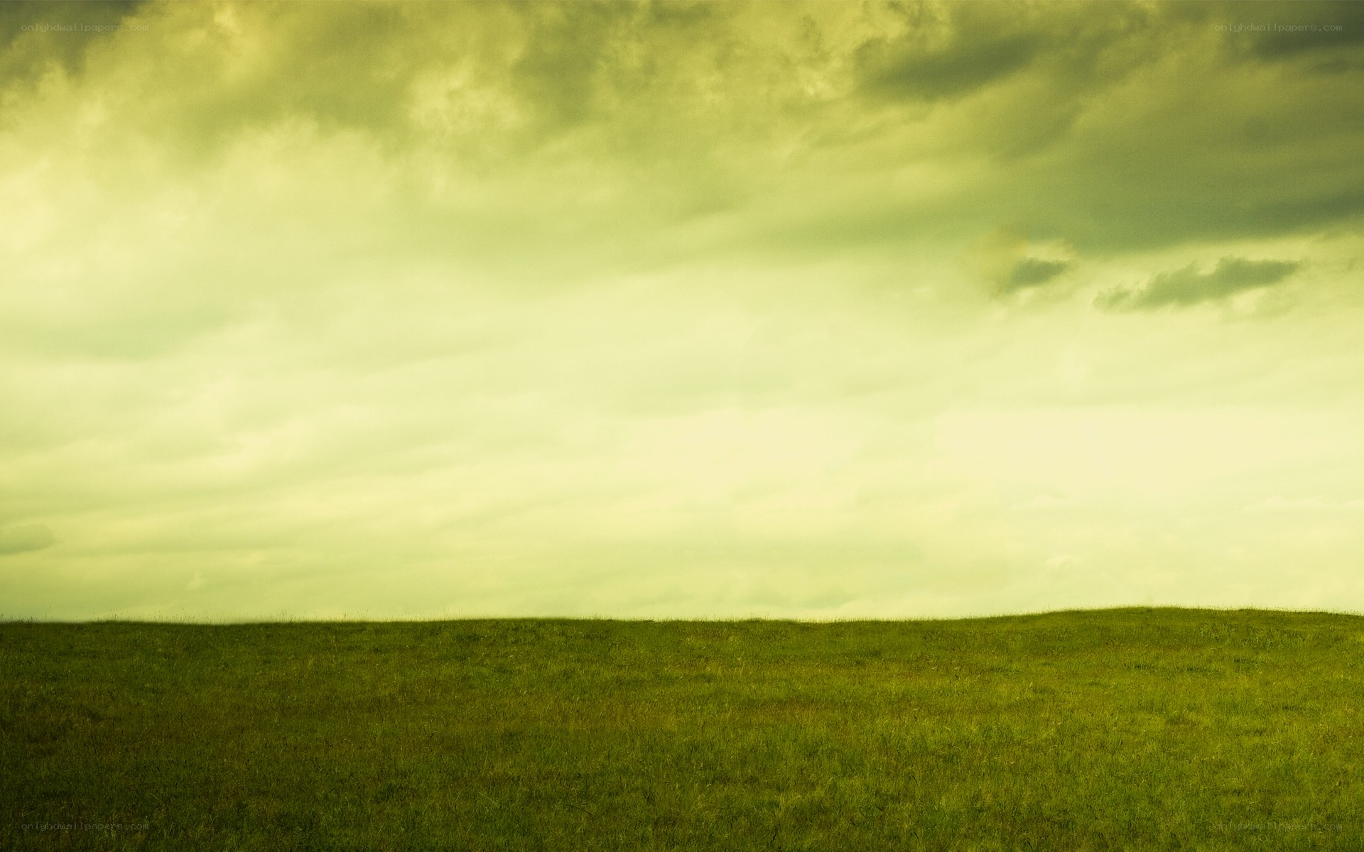 Green field under cloudy sky