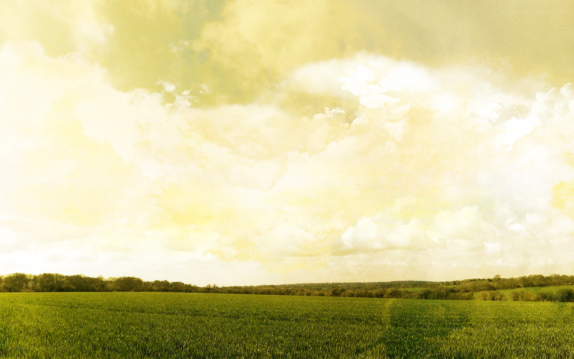 Green field under cloudy sky