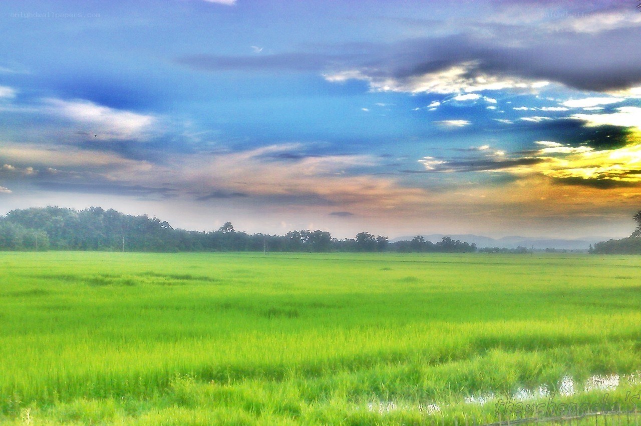 Green field under cloudy sky