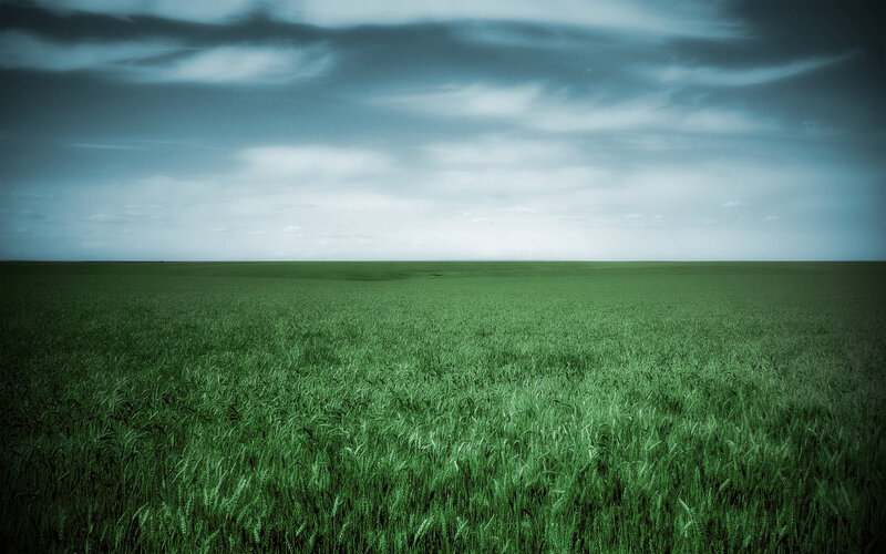 Green field under cloudy sky