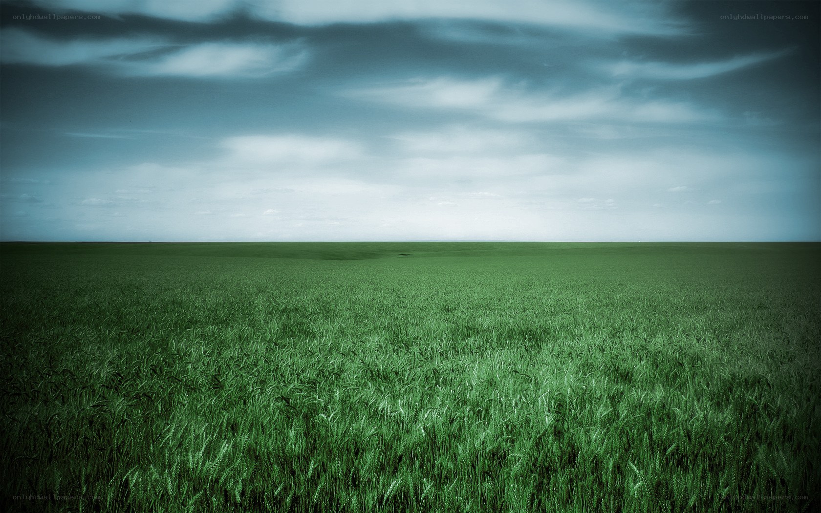 Green field under cloudy sky