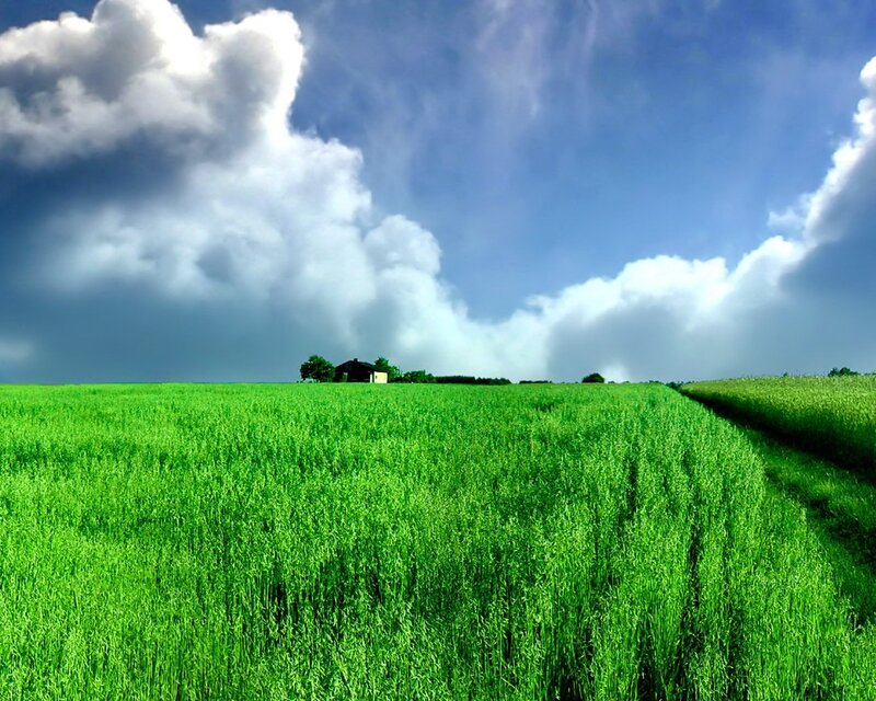 Green field under cloudy sky
