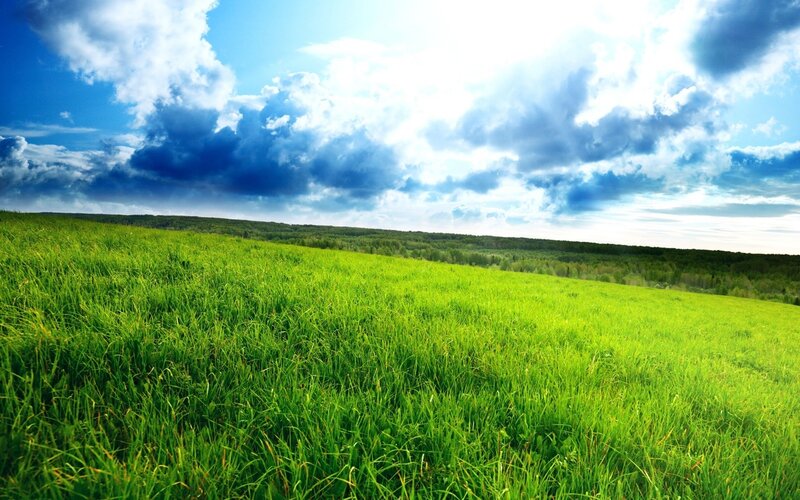 Green field under cloudy sky