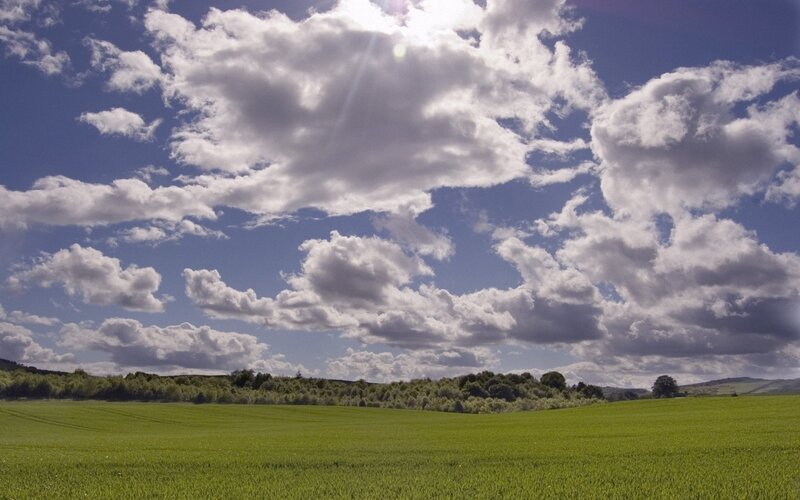 Green field under cloudy sky