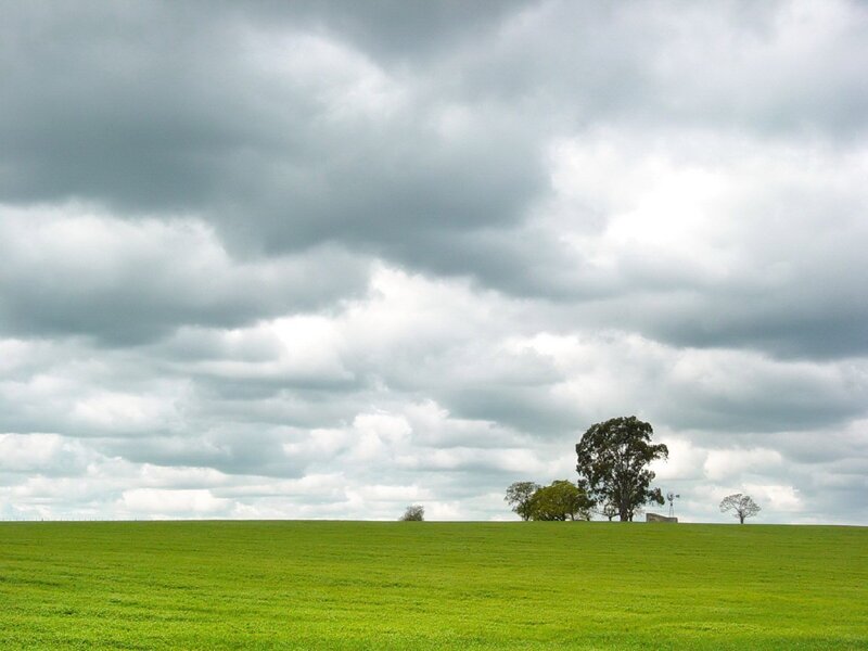 Green field under cloudy sky