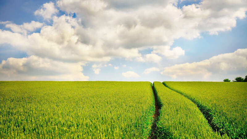 Green field under cloudy sky