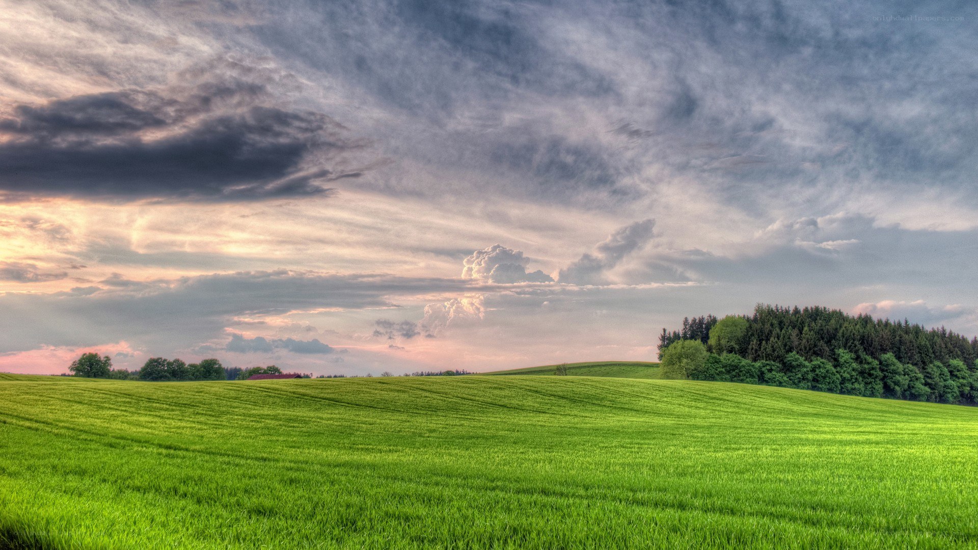Green field under cloudy sky