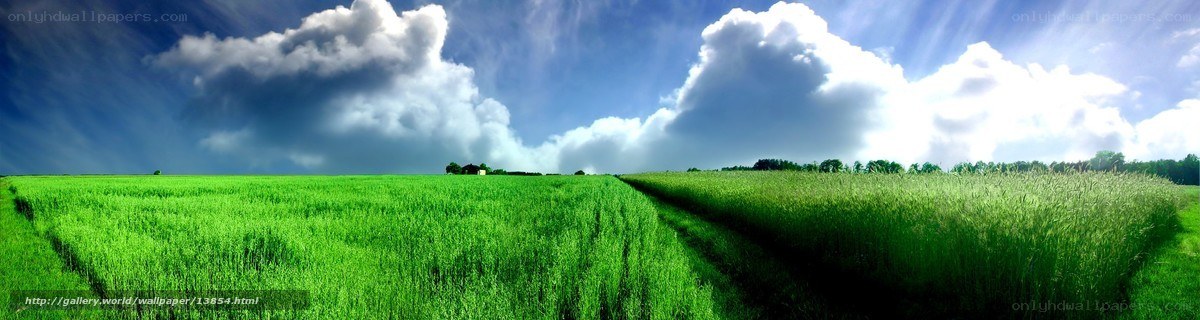 Green field under cloudy sky