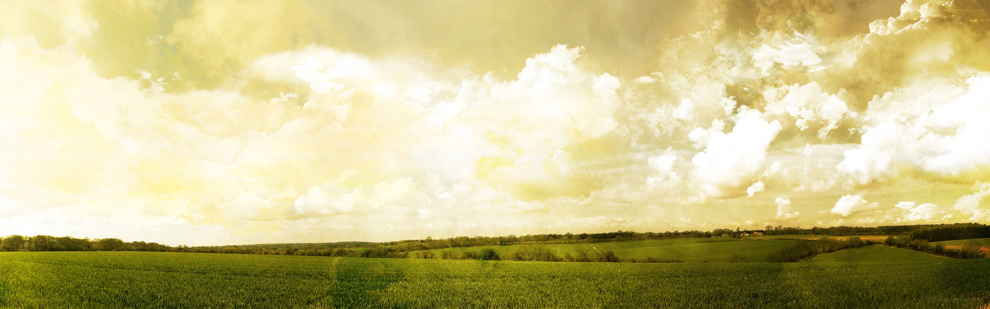 Green field under cloudy sky