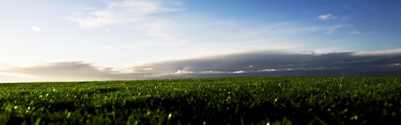 Green field under cloudy sky