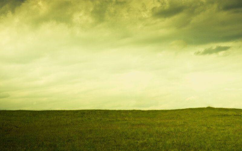 Green field under cloudy sky