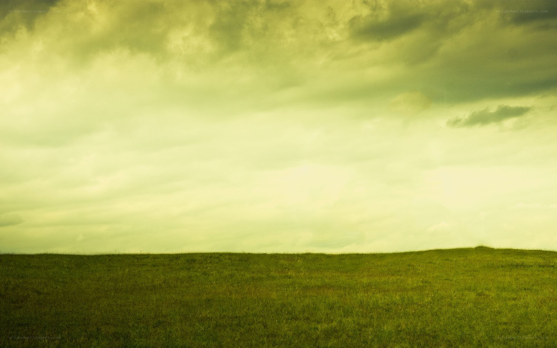 Green field under cloudy sky