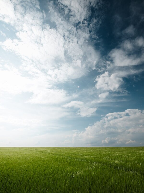 Green field under cloudy sky