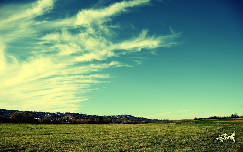 Green field under cloudy sky