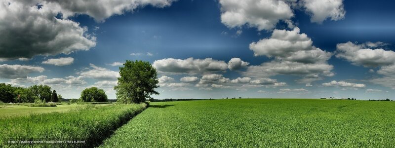 Green field under cloudy sky