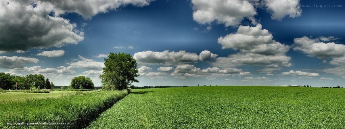 Green field under cloudy sky