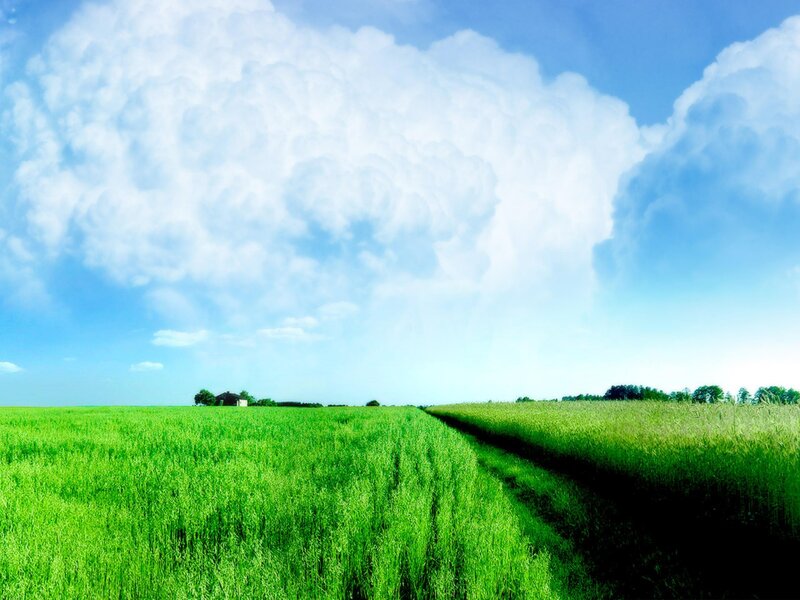 Green field under cloudy sky