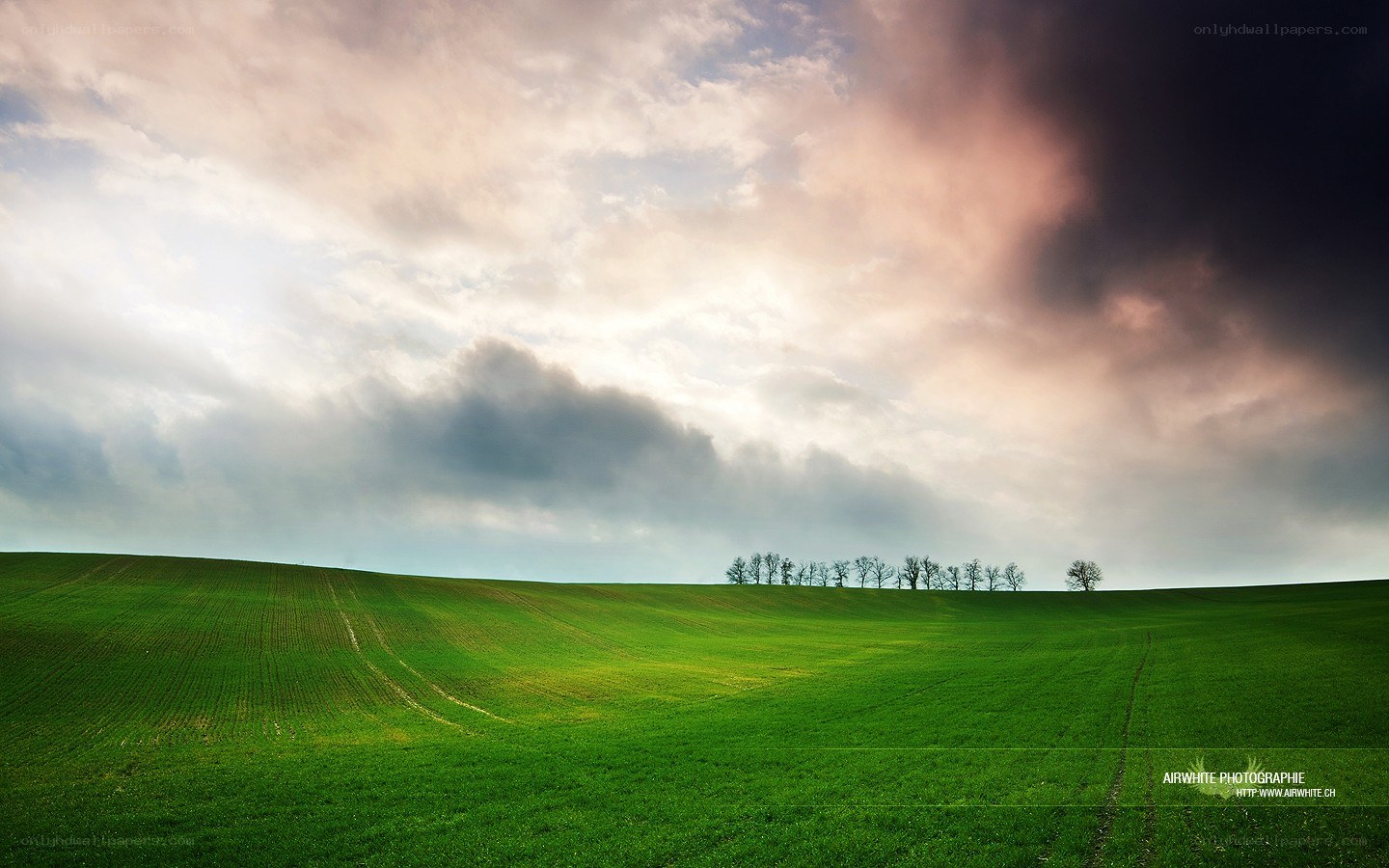Green field under cloudy sky