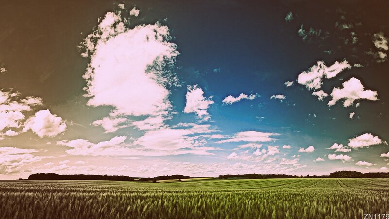 Green field under cloudy sky