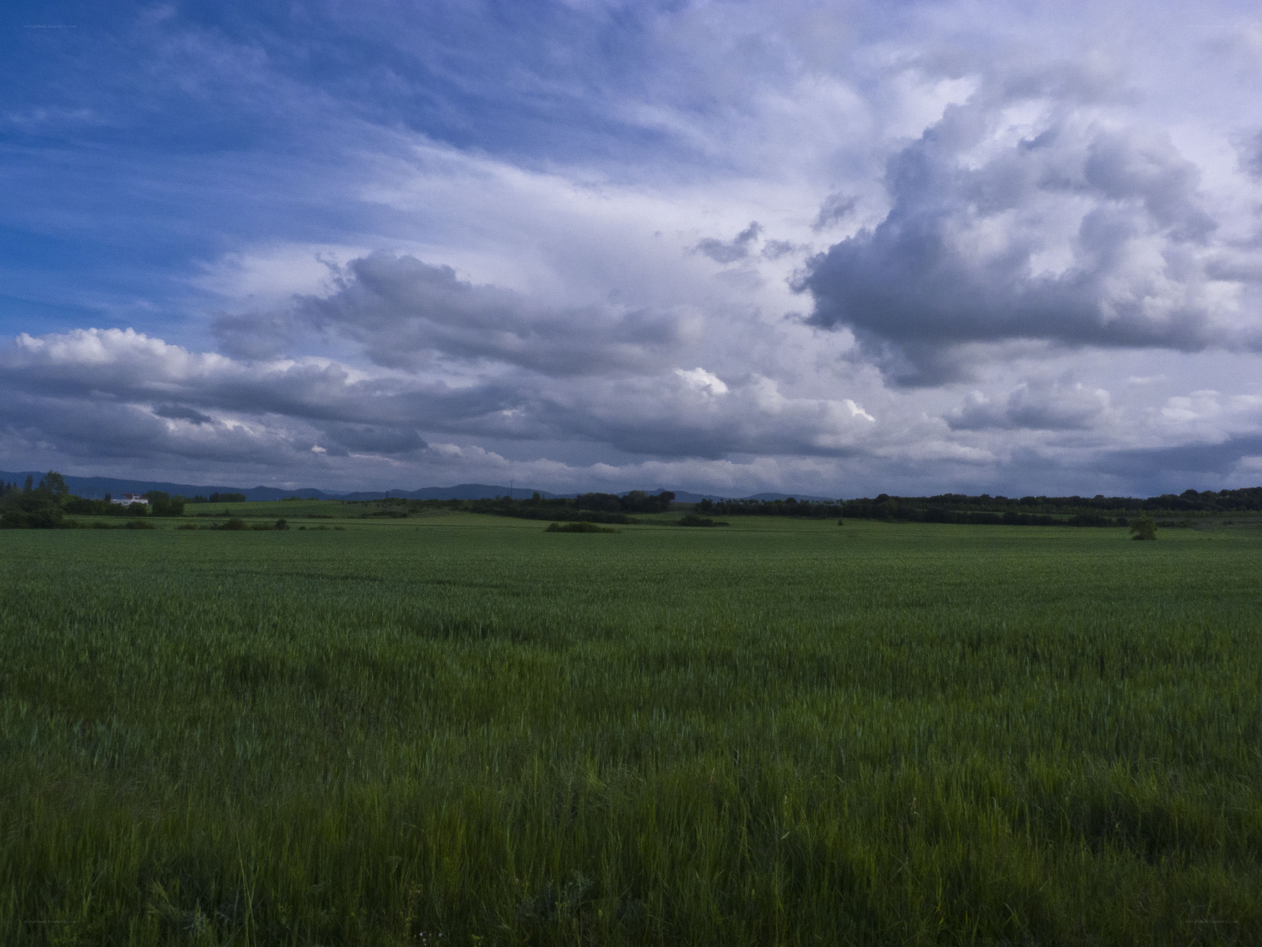 Green field under cloudy sky