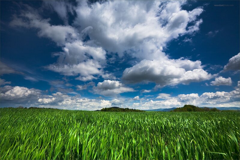 Green field under cloudy sky