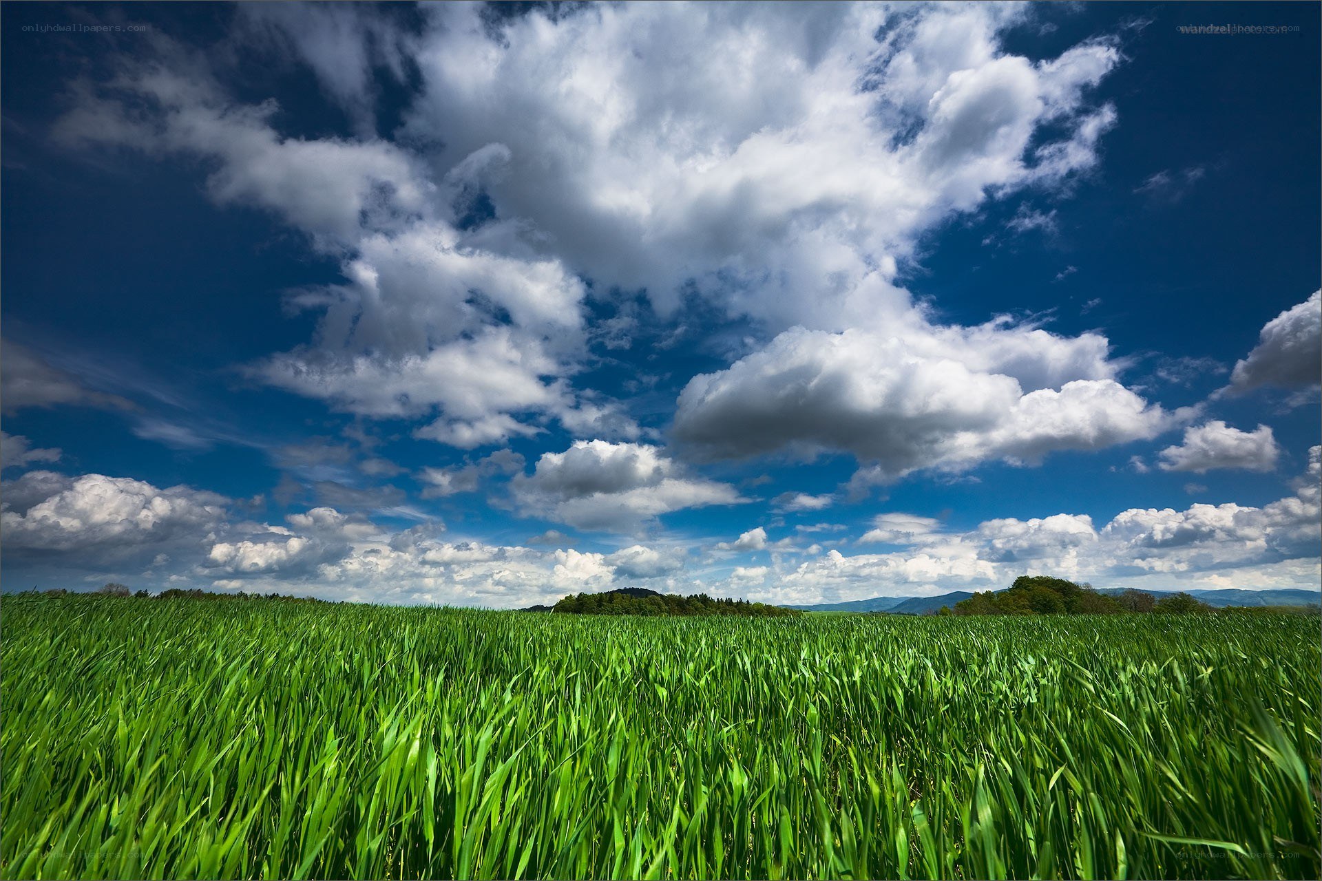 Green field under cloudy sky