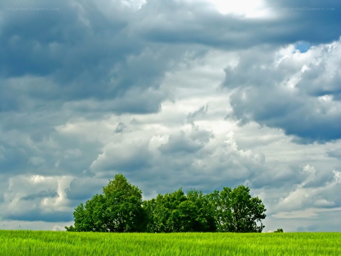 Green field under cloudy sky