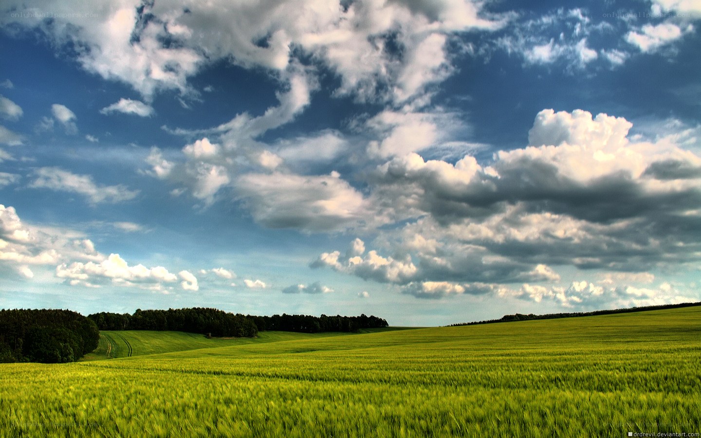 Green field under cloudy sky