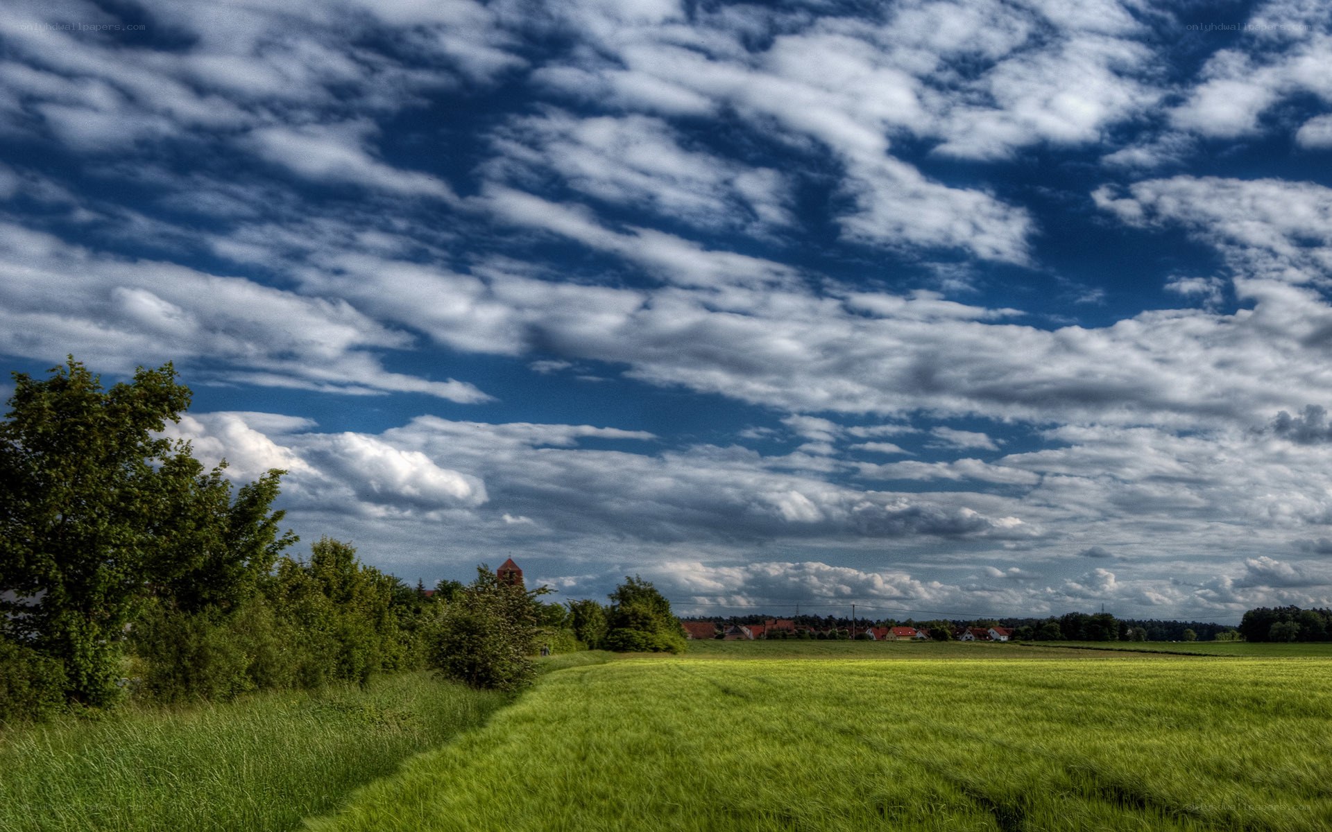 Green field under cloudy sky