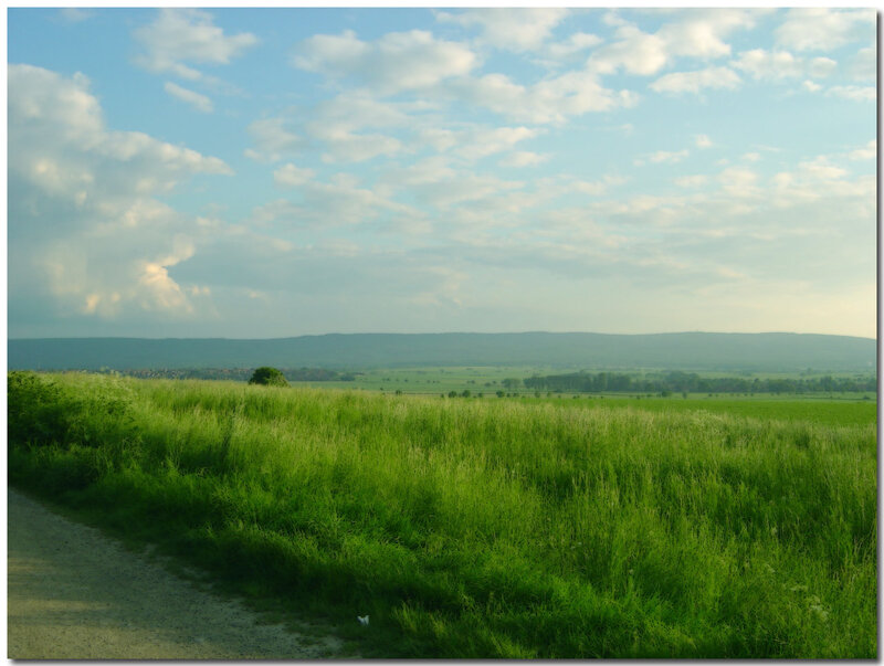 Green field under cloudy sky