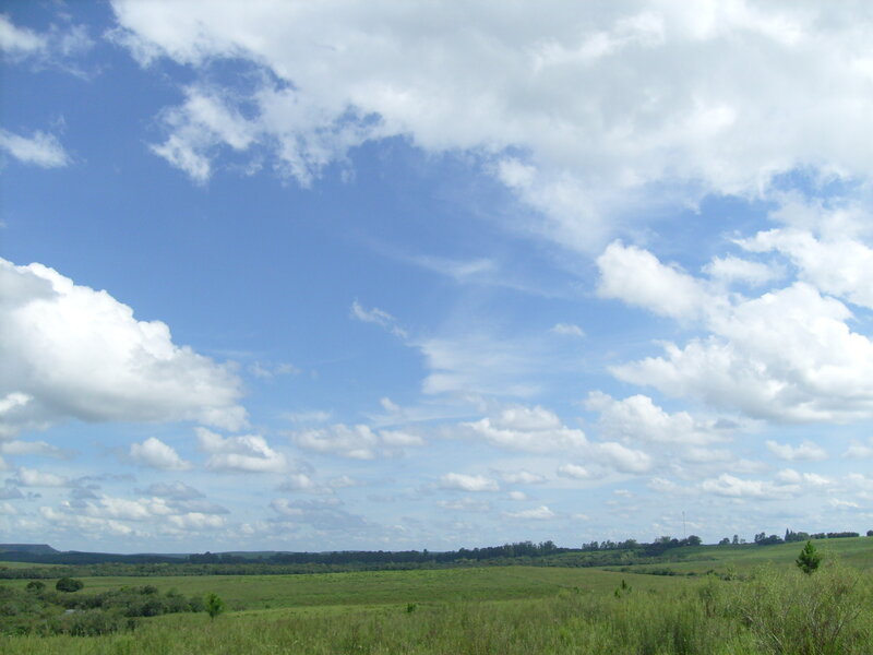 Green field under cloudy sky