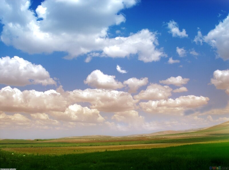 Green Field under Cloudy Sky — Blue, Serene