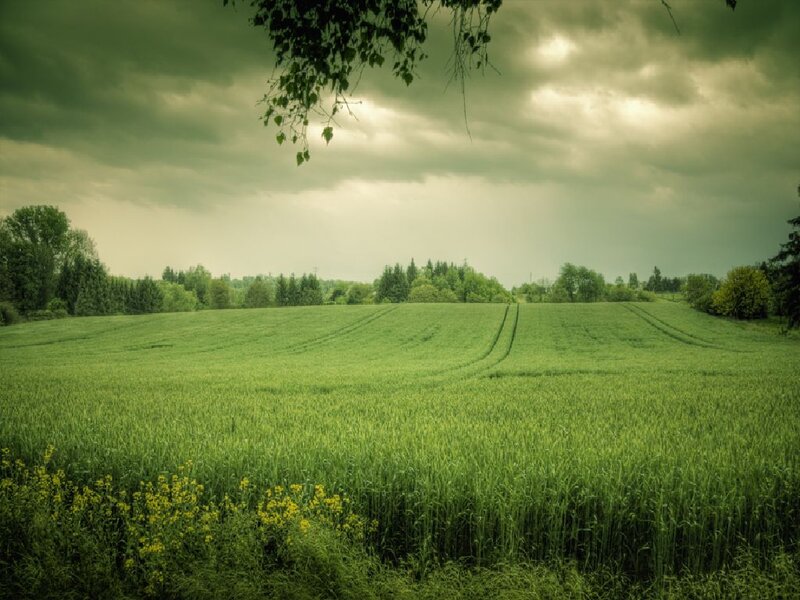 Green Field under Cloudy Sky — Dramatic, Afternoon, Photograph