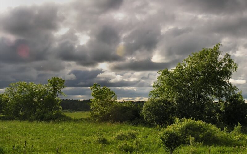 Green Field under Cloudy Sky — Dramatic, Afternoon, Photograph, Trees, Clouds