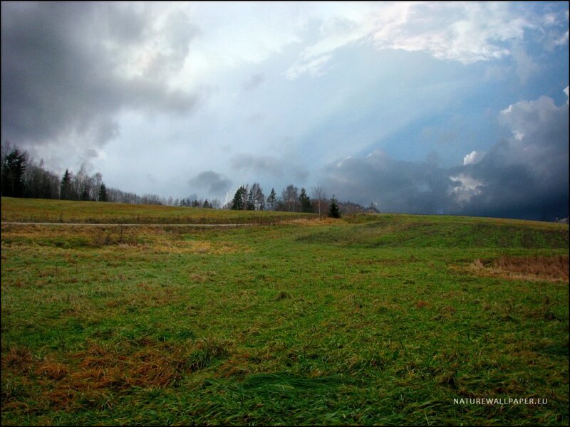 Green Field under Cloudy Sky — Dramatic, Afternoon, Photograph, Trees