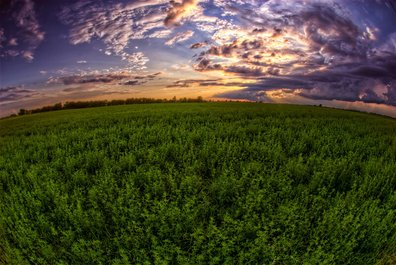 Green Field under Cloudy Sky — Dramatic, Sunset, Photograph, Clouds