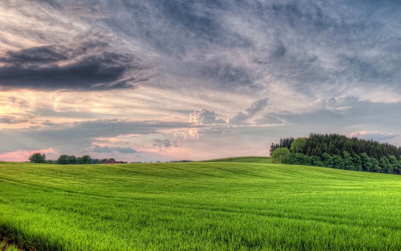 Green Field under Cloudy Sky — Dramatic, Sunset, Photograph, Clouds, Trees