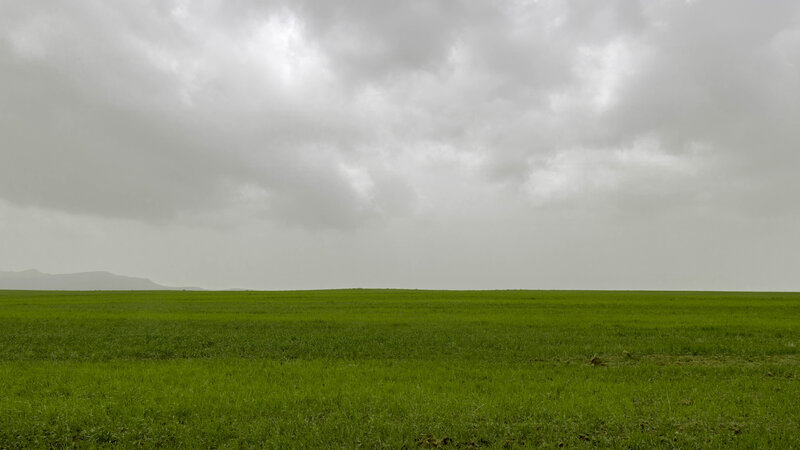 Green Field under Cloudy Sky — Overcast, Photograph