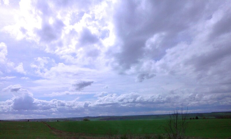 Green Field under Cloudy Sky — Overcast