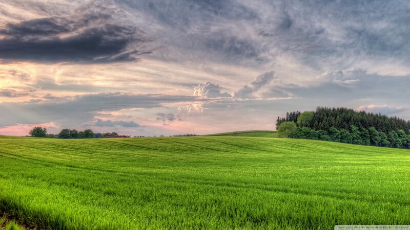 Green Field under Cloudy Sky — Photograph