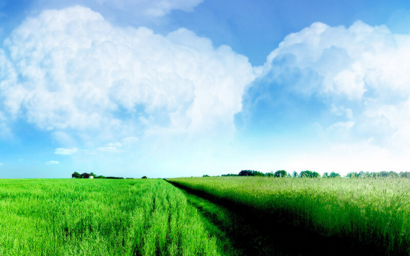 Green Field under Cloudy Sky — Serene, Afternoon, Photograph, Clouds, Trees, Path